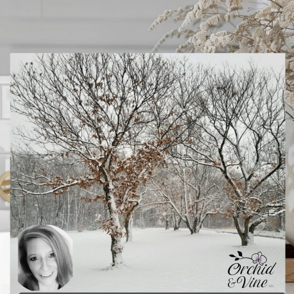 @aspfleegor Orchid & Vine Show! https://posh.mk/Dnom0BxXs0b - Picture 11 of 16